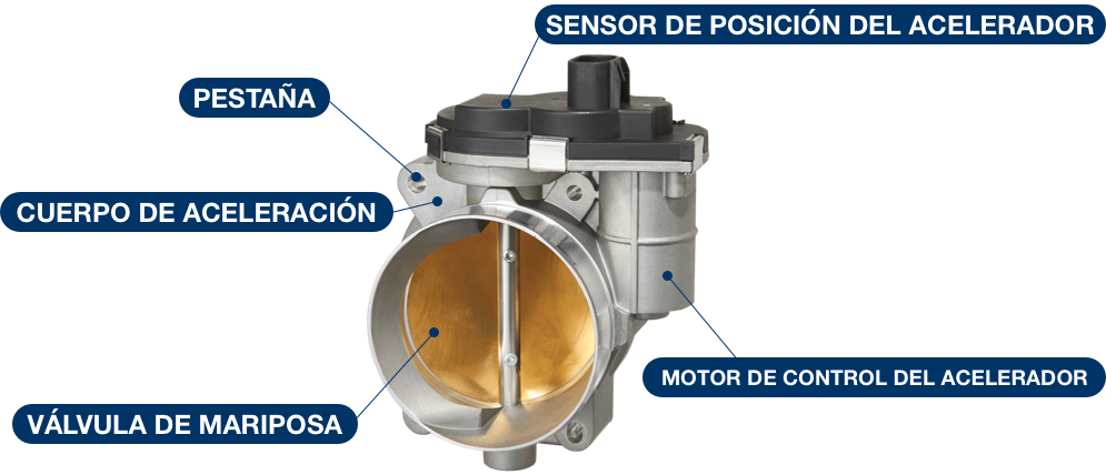 Cuerpo del acelerador electrónico componentes: pestaña, cuerpo de aceleración, válvula de mariposa, sensor de posición del acelerador, motor de control del acelerador